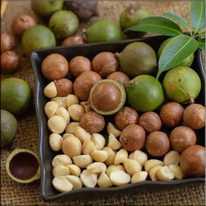 Nueces de Macadamia Orgánicas Secas Blanqueadas, Enteras, a Granel, Exportación al por Mayor, Alta Calidad, Empaque Personalizado para Distribuidores - Product Image 1