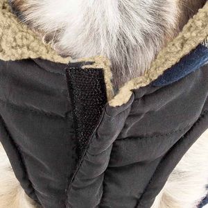 Manteau isolant pour chien Allegiance, style classique à carreaux, vêtements pour animaux de compagnie de qualité supérieure - Product Image 6