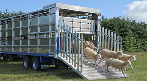 Remolque de Transporte de Ganado Ovino Directo de Fábrica |   Remolque de Alta Capacidad para Transporte de Animales |   Equipo para Ganado de Tamaño Personalizado - Product Image 6