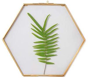 Cadre photo suspendu en verre et métal Hexagon Home Decor pour décoration murale, avec 2 côtés en verre, cadre photo personnalisé - Product Image 1