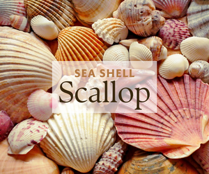 Cangrejo Rojo Entero Seco y Limpio a Precio Económico, Certificado HACCP, Origen Vietnam. Contactar a la Sra. Lily - Product Image 5