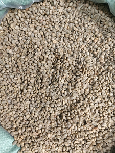 Café torréfié 100% Arabica du Vietnam |   LÉGER ET MOYEN |   Grains de café de spécialité en gros, origine unique - Product Image 4