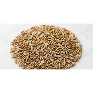 Semillas de Comino Indio Sin GMO, Semillas de Jeera Enteras, Especia Natural de Primera Calidad para Venta al por Mayor Internacional - Product Image 1