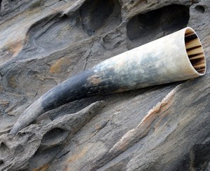 Authentic Buffalo <b>Horn</b> <b>Drinking</b> <b>Horn</b> Natural Shape Rustic Art Collectible Raw Material Authentic Viking Style <b>Drinking</b> <b>Horn</b> - Product Image 4