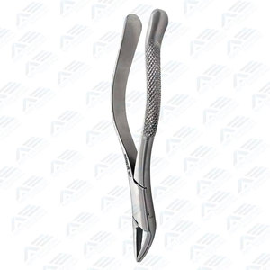 Dental Surgical Instrument Perfect Quality High Quality Oem Design Dental Extracting Forceps Manual Class I Steel Instrument - Product Image 4