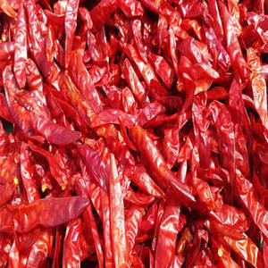 Pimientos Rojos Indios Enteros Seleccionados con una Rica Apariencia Roja y Picantez Tradicional para Mercados Mayoristas de Especias - Product Image 1