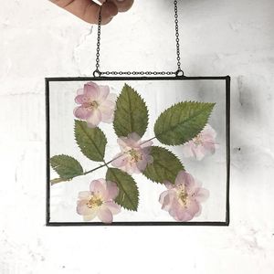 Luxury Geometric Metal and Glass Hanging Photo <b>Frame</b> Transparent Herbarium <b>Frame</b> Wholesale Home Decor <b>Picture</b> Display Stand - Product Image 1