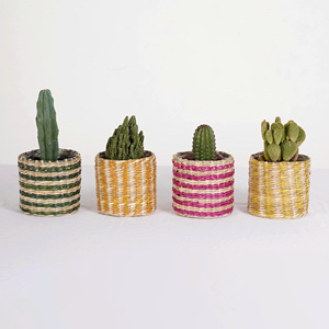 Small Plant Holder Colorful Blue Yellow Green Pot <b>Planter</b> Covers <b>for</b> Cactus Succulent Plants - Product Image 5