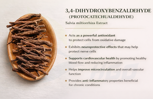 HGO Factory Supply Pure Salvia miltiorrhiza <b>Extract</b> (Health food Grade) 3 4-Dihydroxybenzaldehyde/ Protocatechualdehyde 15% - Product Image 2