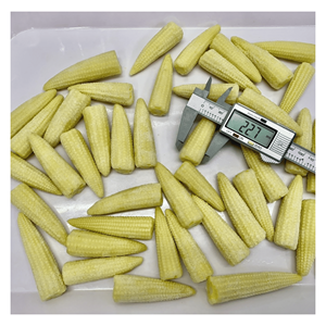 Maïs bébé surgelé en usine IQF, emballage en vrac, idéal pour les salades de charcuterie et les accompagnements réfrigérés, provenance Vietnam, coupé propre, préparation rapide - Product Image 1