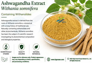 HGO Suministro directo de fábrica Extracto de Ashwagandha/Withania somnifera (Grado alimenticio) Withanolides 2.5% - 10% (Extracto estandarizado) - Product Image 2