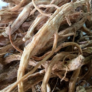 โสม ngoc Linh ที่มีปริมาณซาโปนินที่เหนือกว่ามีสินค้าจากเวียดนาม - Product Image 1