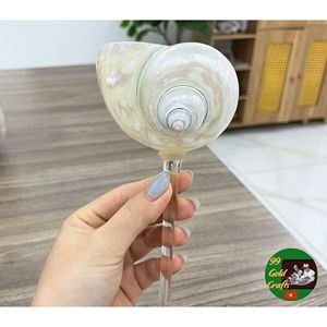 Elegant Seashell Drinking <b>Cups</b> for Wine Cocktail Serving Beach Theme Events and Handmade Coastal Home Decoration - Product Image 6