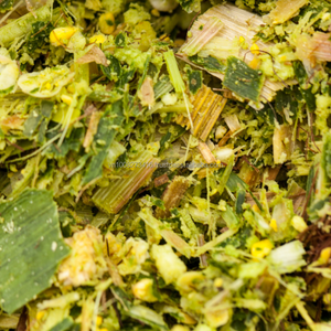 Silage de maïs premium pour l'alimentation du bétail – Fourrage fermenté de haute qualité en provenance du Vietnam - Product Image 2