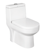 Classique De Luxe Blanc Coloré Bidet Toilette En Céramique Une Pièce Sanitaire Salle De Bains Commode WC Cuvette De Toilette