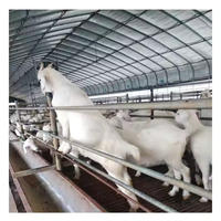 QCF017 Gallinero/Corral para Aves de Corral/Establo para Vacas/Corral para Ovejas de Estructura de Acero Prefabricada, Económico y de Fácil Instalación, Personalizable Según Se Solicite