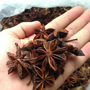 Star Aniseed Food Flavour Single Spices / Star Anise Seed For Seasoning OEM Bulk Packing