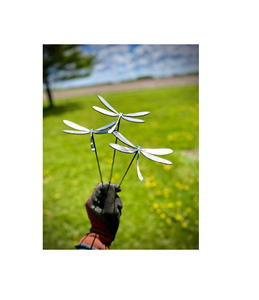 Piquets de jardin en fer forgé faits à la main pour la décoration des jardins de fleurs, support extérieur durable - Product Image 1