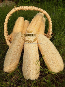 แปรงฟองน้ำใยบวบสำหรับล้างหน้าทั้งใยบวบ100% ธรรมชาติผลิตจากเวียดนาม - Product Image 3