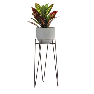 Support de Plante Moderne en Métal pour Pot de Fleurs, Plante Succulente, Intérieur/Extérieur, Décoration de Jardin et Maison, Support Minimaliste en Fil Métallique avec Pince à Cheveux - Product Image 1