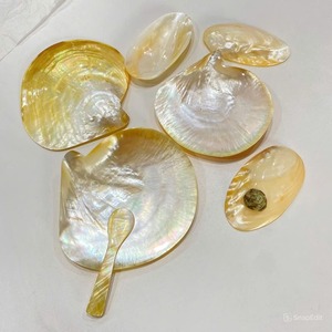 Plaque de coquille de perle exquise assiette de coquille de perle pour Dessert servant Banquet de mariage décoration de la maison assiette de Style européen classique - Product Image 3