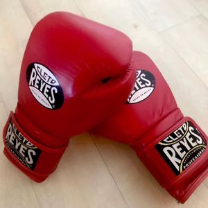 ถุงมือชกมวยคุณภาพสูง Celeto rays Professional Muay Thai สำหรับฝึกซ้อม สีสั่งทำได้ ขนาดสำหรับผู้ใหญ่ รุ่น RL-BG-151 - Product Image 1