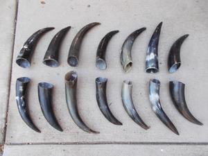 Par de Cuernos de Longhorn Pulidos para Decoración de Pared, Diseño Art Deco Ecológico, Grandes de 10 y 18 Pulgadas, para Bodas, Cumpleaños, Aniversarios, Año Nuevo - Product Image 3