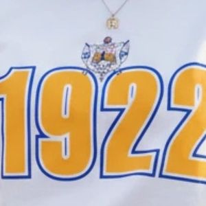 T-shirt unisexe Sigma Gamma Rho Heavyweight en coton à col rond et manches courtes, vêtement de sororité grecque, streetwear décontracté - Product Image 5