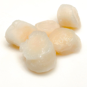 Vieiras Congeladas de Nueva Cosecha en Venta, Carne de Vieras Congelada de Alta Calidad |   Fabricantes de mariscos congelados para exportación, económicos y populares - Product Image 6