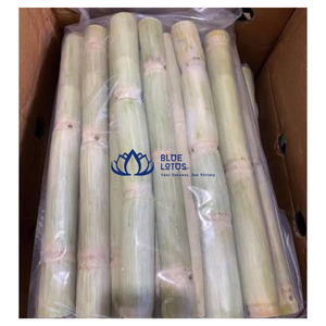 BEST SELLING |   Bâtons de canne à sucre congelés et pelés pour jus frais, fourniture pour bars et magasins, de Blue Lotus - Product Image 1