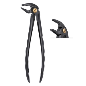# Forceps d'extraction 22 Gentle Line 5,5 mm pour molaires inférieures et molaires, revêtement TiNi noir, préhension profonde, en acier inoxydable chirurgical dentaire - Product Image 1
