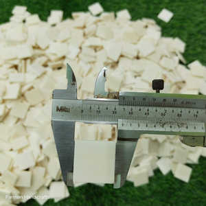 Carrés d'Os de Buffle Blanc Naturel Artisanat Écologique Premium Fait Main Utilisation Art Moderne Meilleur Prix - Product Image 4