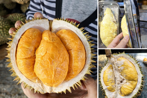 DURIAN MONTHONG CONGELADO DE VIETNAM AL POR MAYOR, ENVASADO AL VACÍO IQF, DURIAN MADURO Y DULCE - Product Image 4