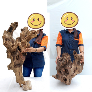 Bois flottant décoratif écologique pour terrarium et aquascape Java - Rose-L20 - Décoration d'aquarium - Product Image 5