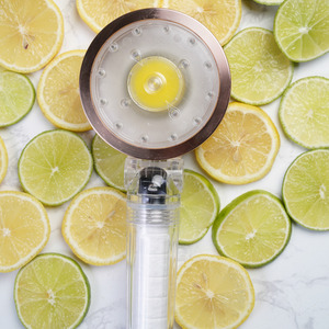 Pomme de douche de beauté traditionnelle OEM & ODM avec filtre à vitamine C Pomme de douche à brouillard vitaminé à double poignée - Product Image 5