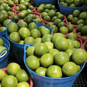 Pomelo Verde Fresco de Vietnam, Dulce y Jugoso, con Pulpa Rosada, Calidad Premium de Exportación, Cítrico, 60-90 Días de Vida Útil, Uso Inmediato - Product Image 1