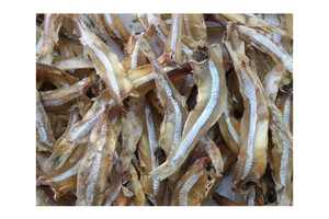 Anchois séchés les plus vendus, fournisseur en gros de produits de la mer de qualité supérieure - Product Image 5