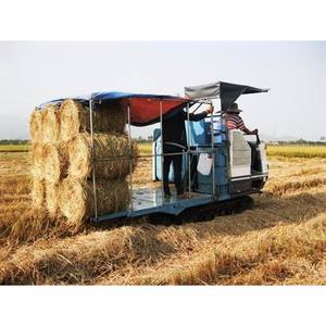 Meilleur produit agricole GIA GIA NGUYEN, paille de riz séchée, foin sec, fourrage sec du Vietnam pour la culture de champignons et l'alimentation animale - Product Image 1