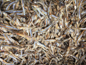 [VENTE CHAUDE] |   Anchois séchés en vrac de haute qualité (3-5cm, 6-9cm) pour la vente au détail et les restaurants, provenance Vietnam - Product Image 6