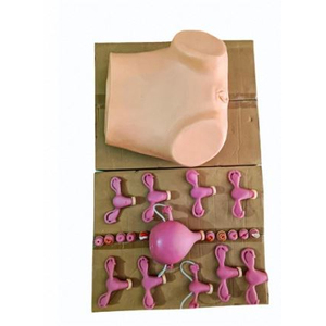 Mannequin d'examen gynécologique en PVC de haute qualité, simulateur médical d'examen pelvien féminin, fournisseur indien, meilleur prix - Product Image 1