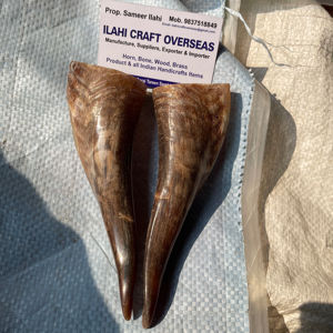 Paire de cornes de chèvre naturelles finies pour la décoration et l'artisanat, haute qualité - Product Image 1