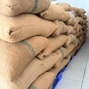 Fèves de cacao naturelles fermentées, nettoyées et torréfiées, qualité supérieure, saveur chocolat riche, fournisseur en gros, marque Enterenprise - Product Image 3