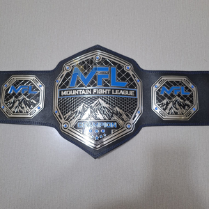 เข็มขัดแชมป์แบบกำหนดเองสำหรับ MMA มวย เทควันโด มวยปล้ำ พันคราชั่น สายหนังชุบทองเหลือง 2 มม. - Product Image 2