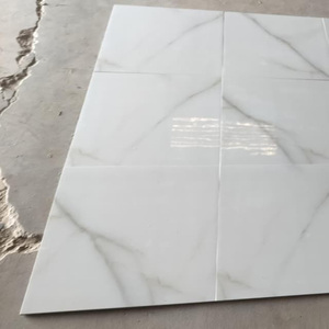 Azulejos de Porcelana Pulida y Esmaltada de Primera Calidad, 60x60cm, Aspecto de Mármol de Lujo, Brillantes, para Paredes y Pisos Interiores - Product Image 5