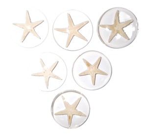 Cabujón de plástico con espécimen real de estrella de mar, redondo, 35x35 mm, base plana transparente para manualidades y fabricación de joyas - Product Image 5
