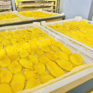 ขนมผลไม้รสหวานและเคี้ยวสีทองสำหรับมะม่วงอบแห้งเขตร้อนจากเวียดนาม - Product Image 5