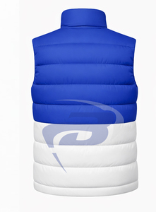 Chaleco Acolchado Premium de la Hermandad Zeta Phi Beta ZPB, Chaleco Acolchado de Alta Calidad, Chaleco Acolchado para Mujer - Product Image 3