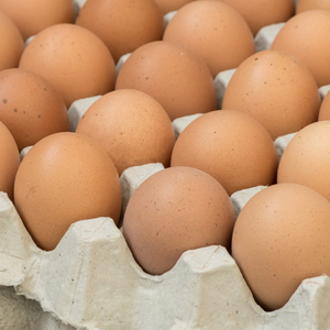 Œufs de poule blancs et bruns de ferme, qualité alimentaire, pour les acheteurs en gros, avec emballage en plateau protecteur, pour l'exportation - Product Image 3