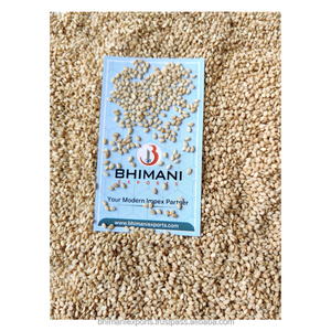 Graines de sésame naturelles blanches brutes, taille 2-3 mm, pureté 99 %, très demandées, certifiées HACCP, emballage sous vide pour confiseries et sucreries - Product Image 6