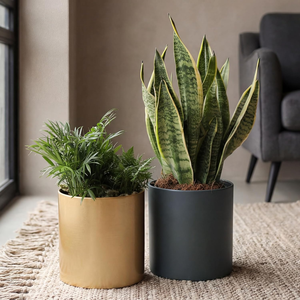 กระถางต้นไม้โลหะพร้อมรูระบายน้ำ กระถางแบบดั้งเดิมสำหรับปลูกต้นไม้ในร่มและกลางแจ้ง สำหรับตกแต่งโต๊ะ สีทองขัดเงา ทนทาน - Product Image 6